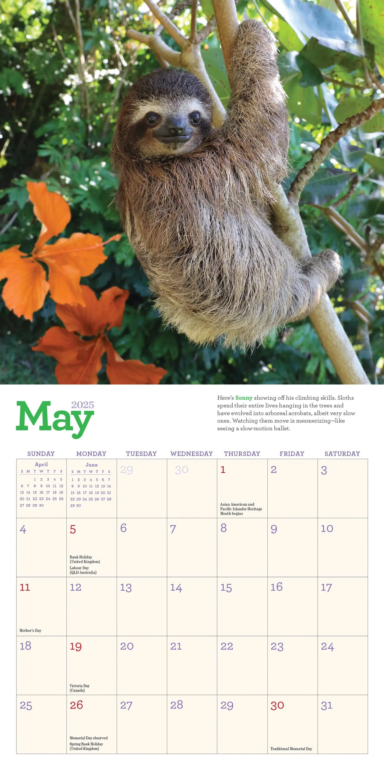 2025 Original Sloths Mini Wall Calendar