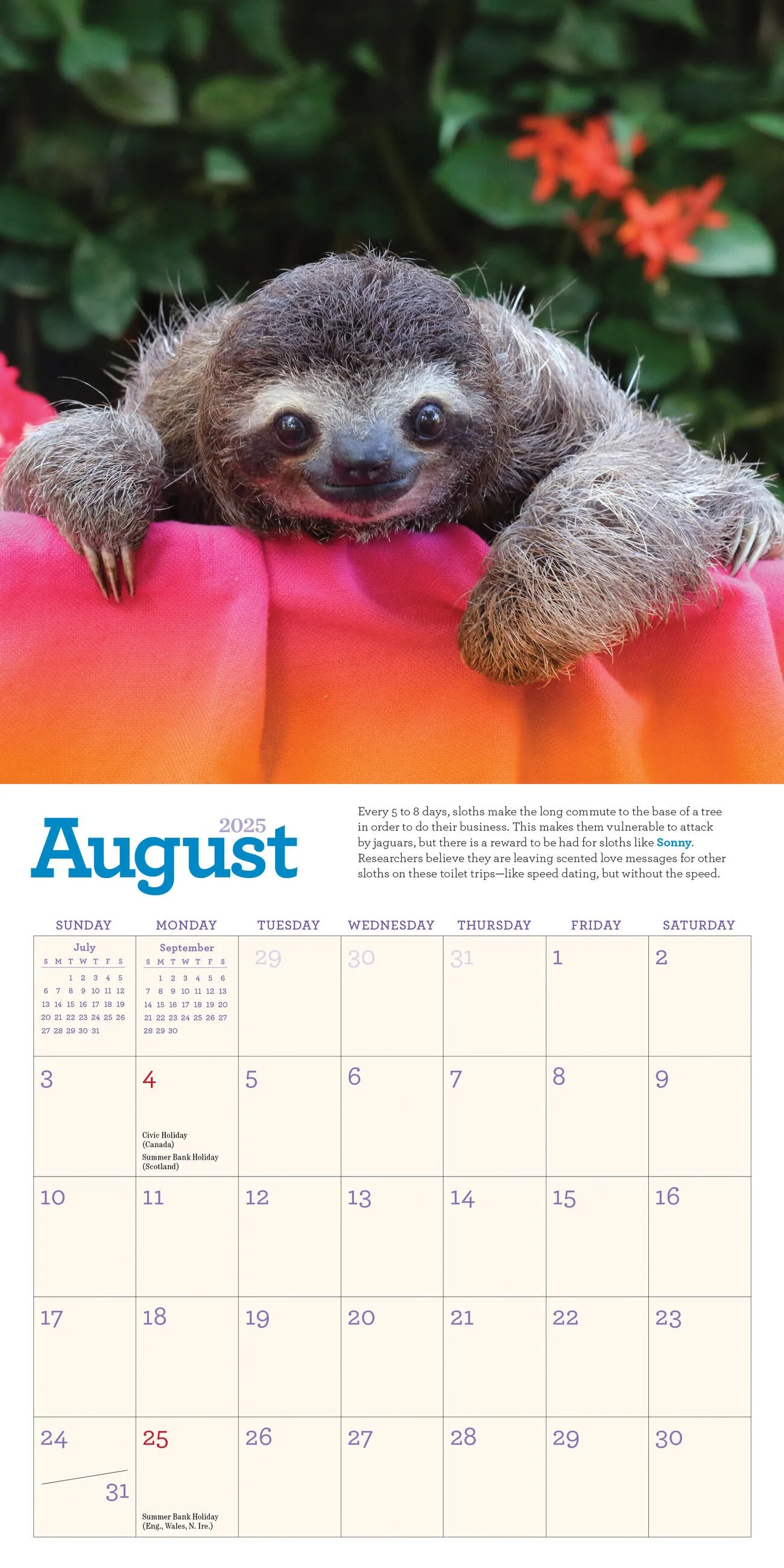 2025 Original Sloths Mini Wall Calendar