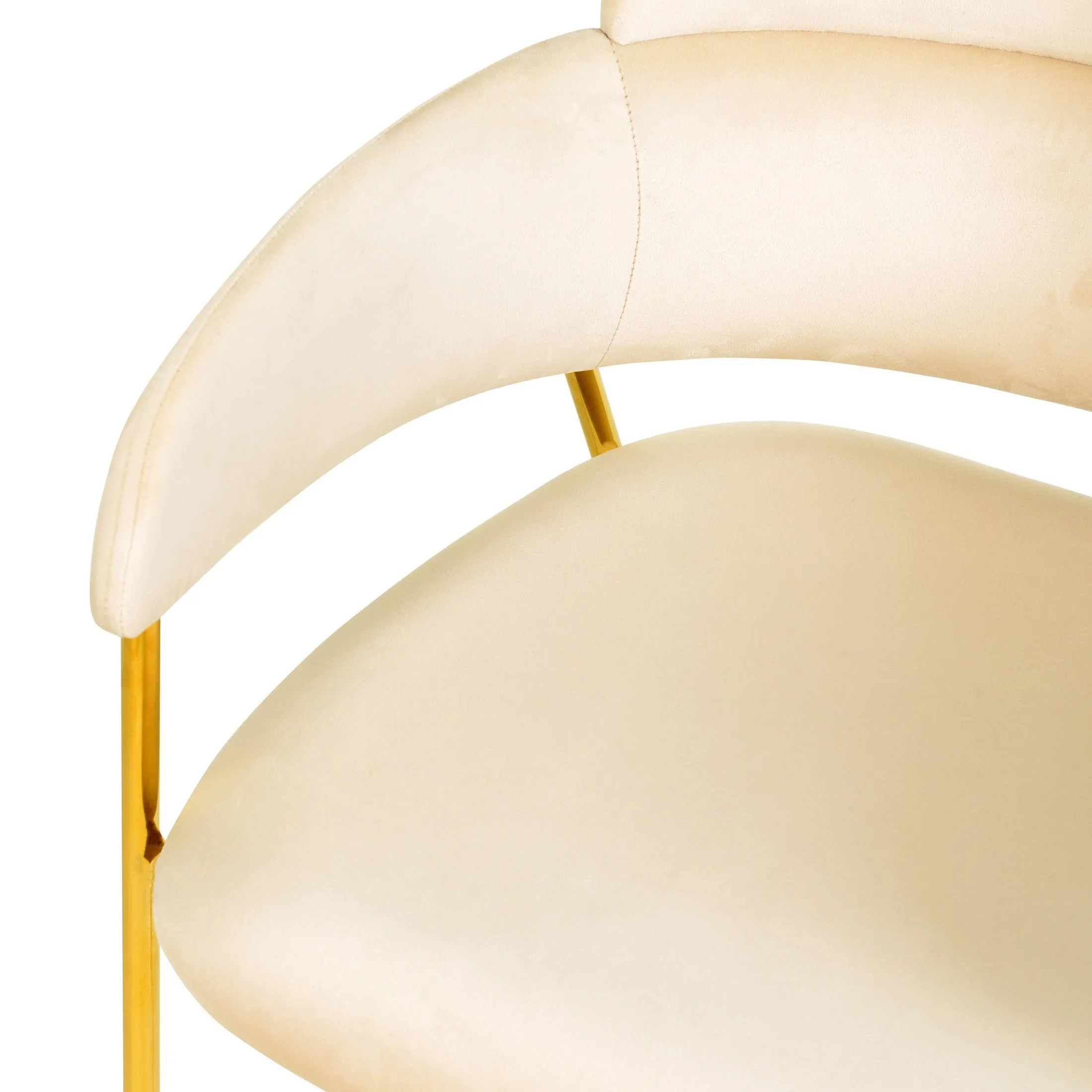 Axis Upholstered Dining Chairs Curved Open-Back & Gold Legs Set of 4