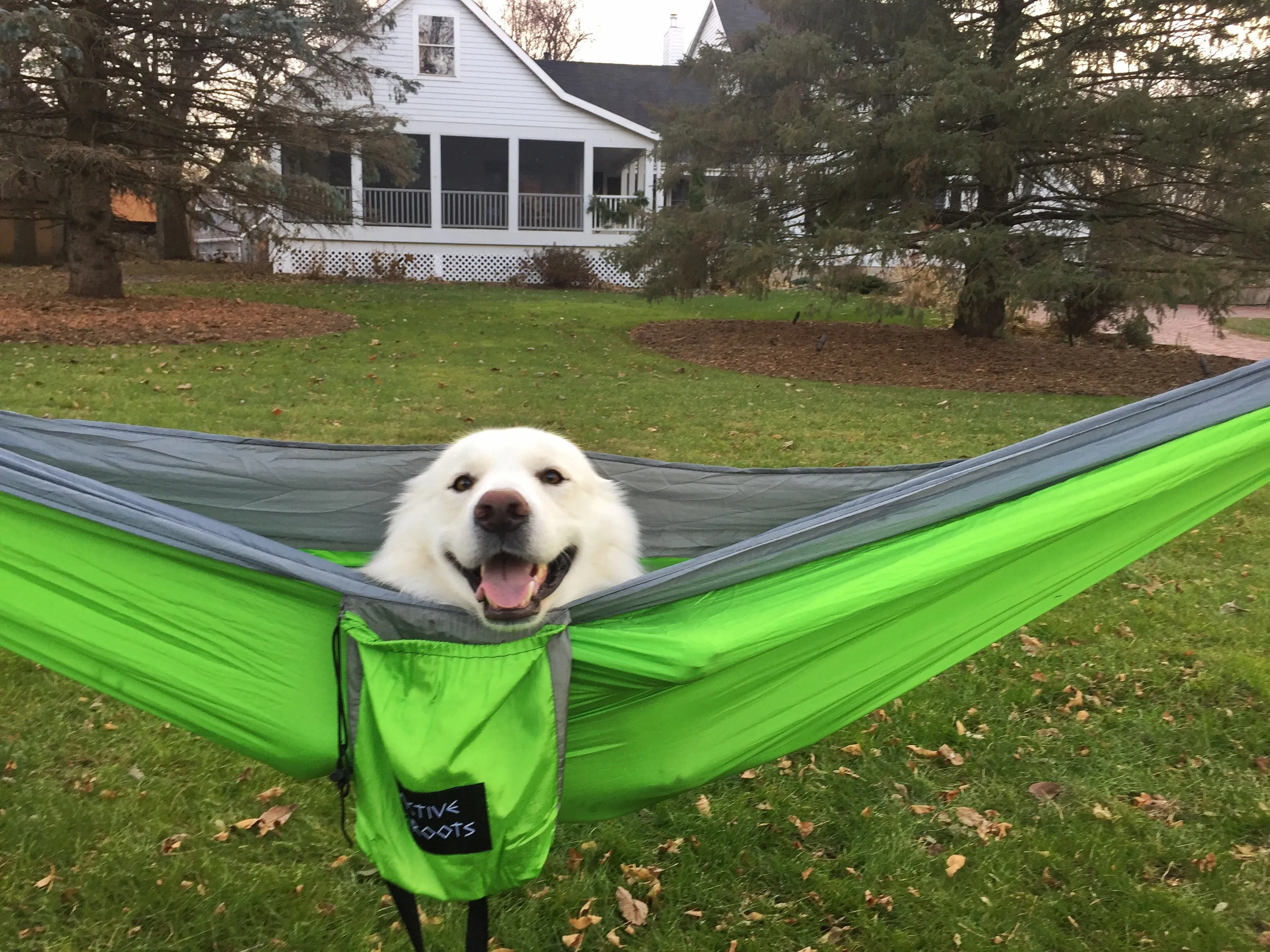 Hammocks