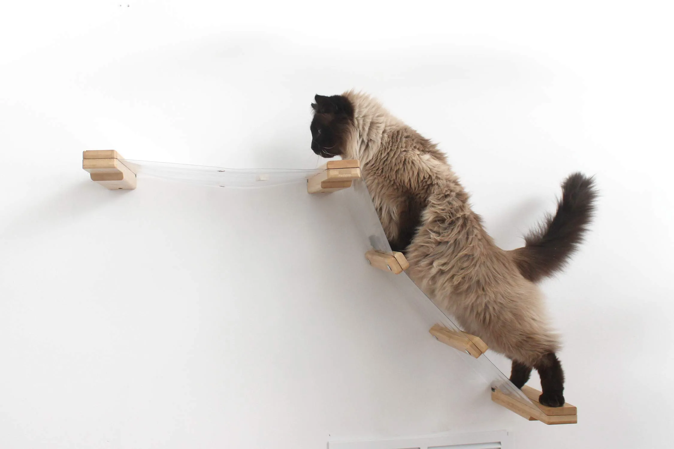 Invisible Lift: Cat Wall Ramp with Hammock Bed