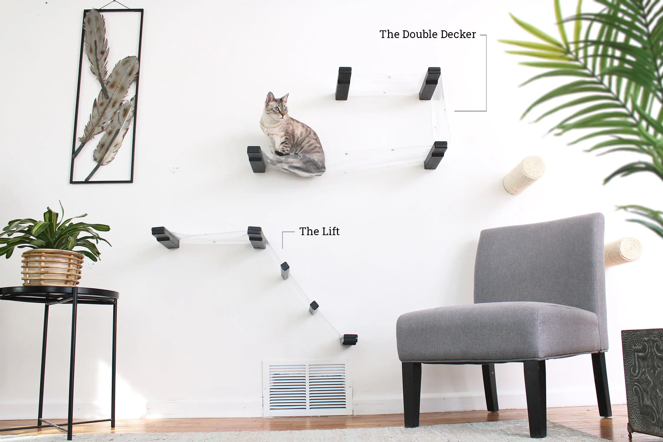 Invisible Lift: Cat Wall Ramp with Hammock Bed