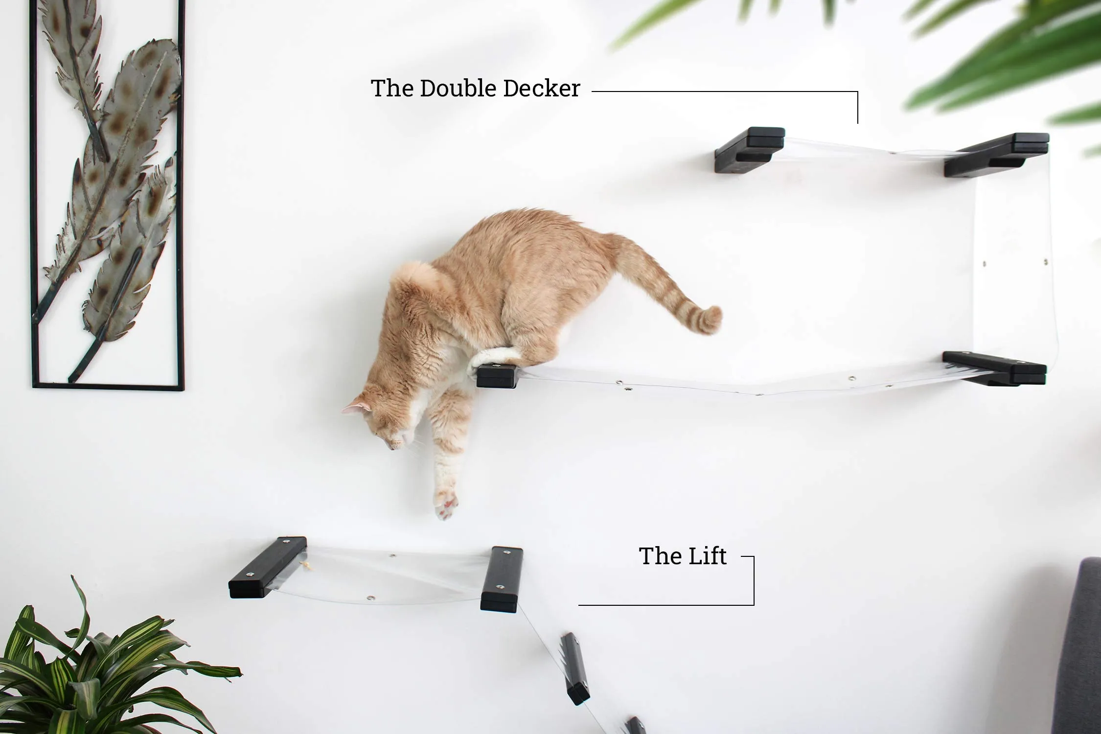 Invisible Lift: Cat Wall Ramp with Hammock Bed