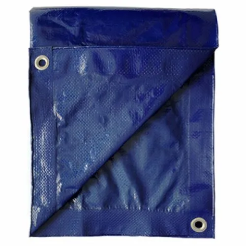 ITM MD-GT-BB-0810 8' x 10' Blue Polyethylene Storage Tarp Cover - Quantity of 10