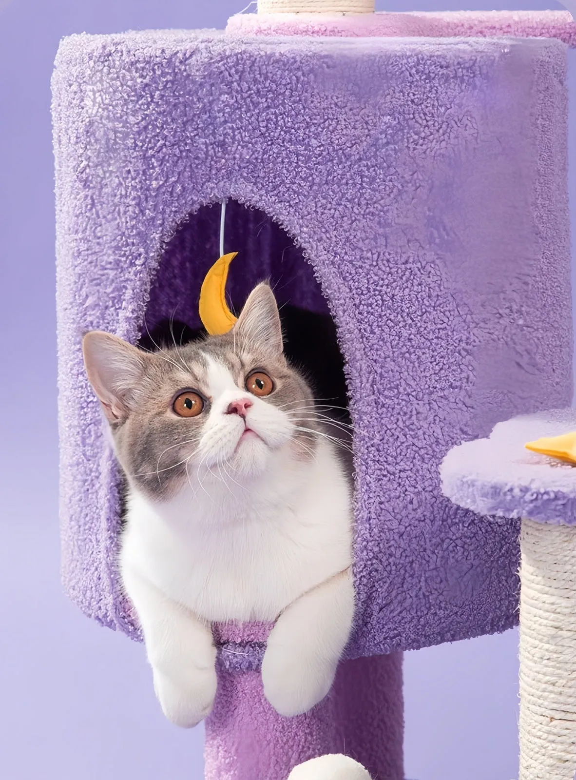 Moonlight Climbing Frame Cat Tree Large