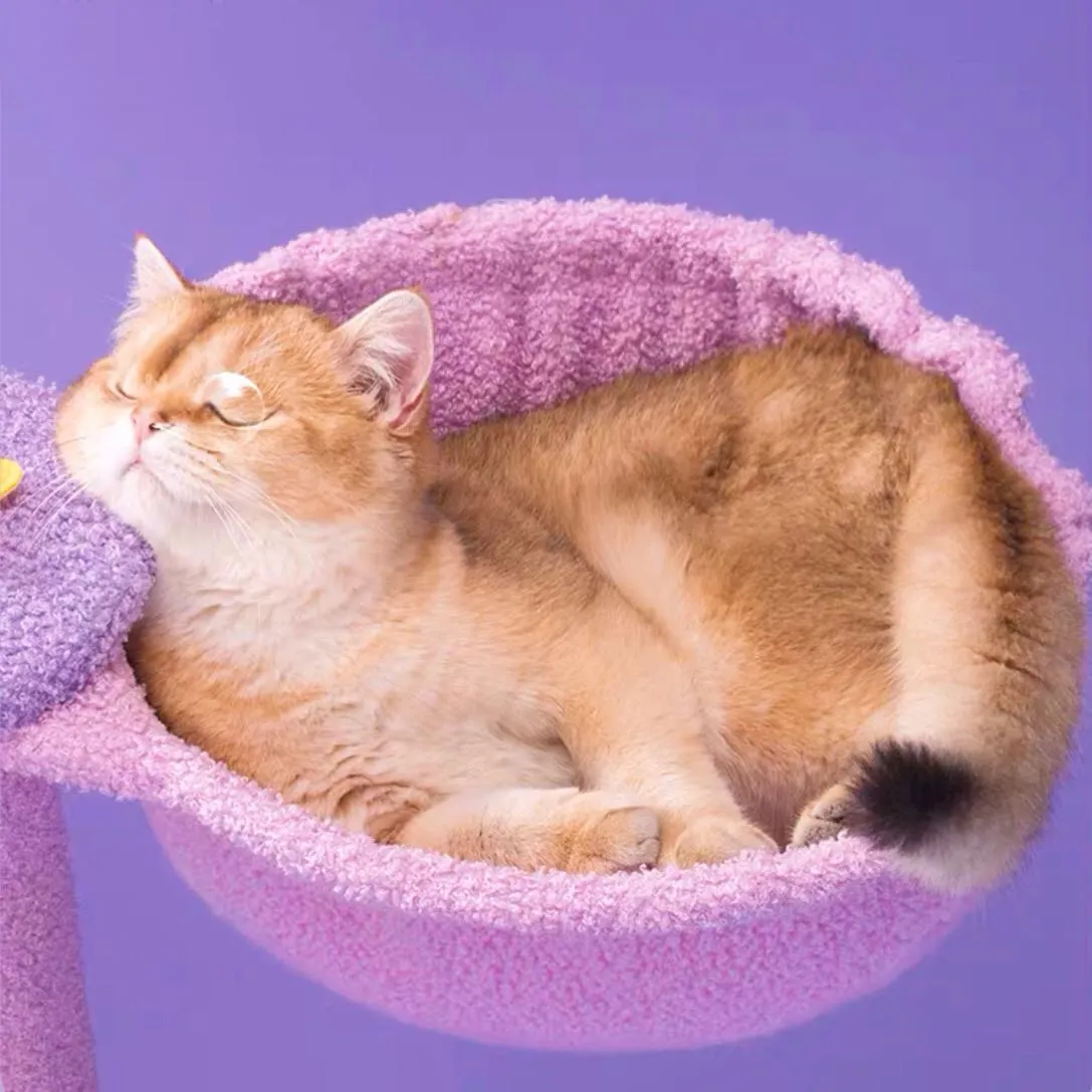 Moonlight Climbing Frame Cat Tree Large