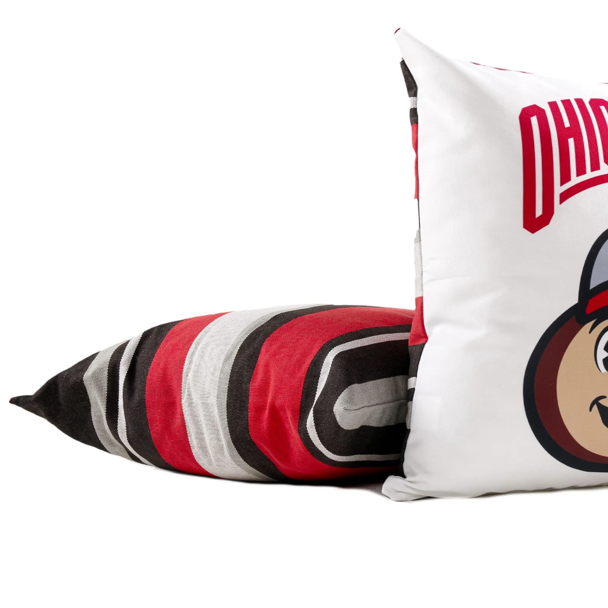 Ohio State Buckeyes Mascot Hanging Chair Swing | BRUTUS