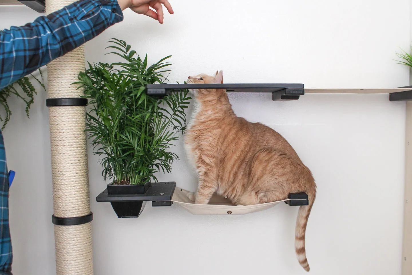 The Gardens Cat Condo (Wall-Mounted Cat Tree) - by Catastrophic Creations