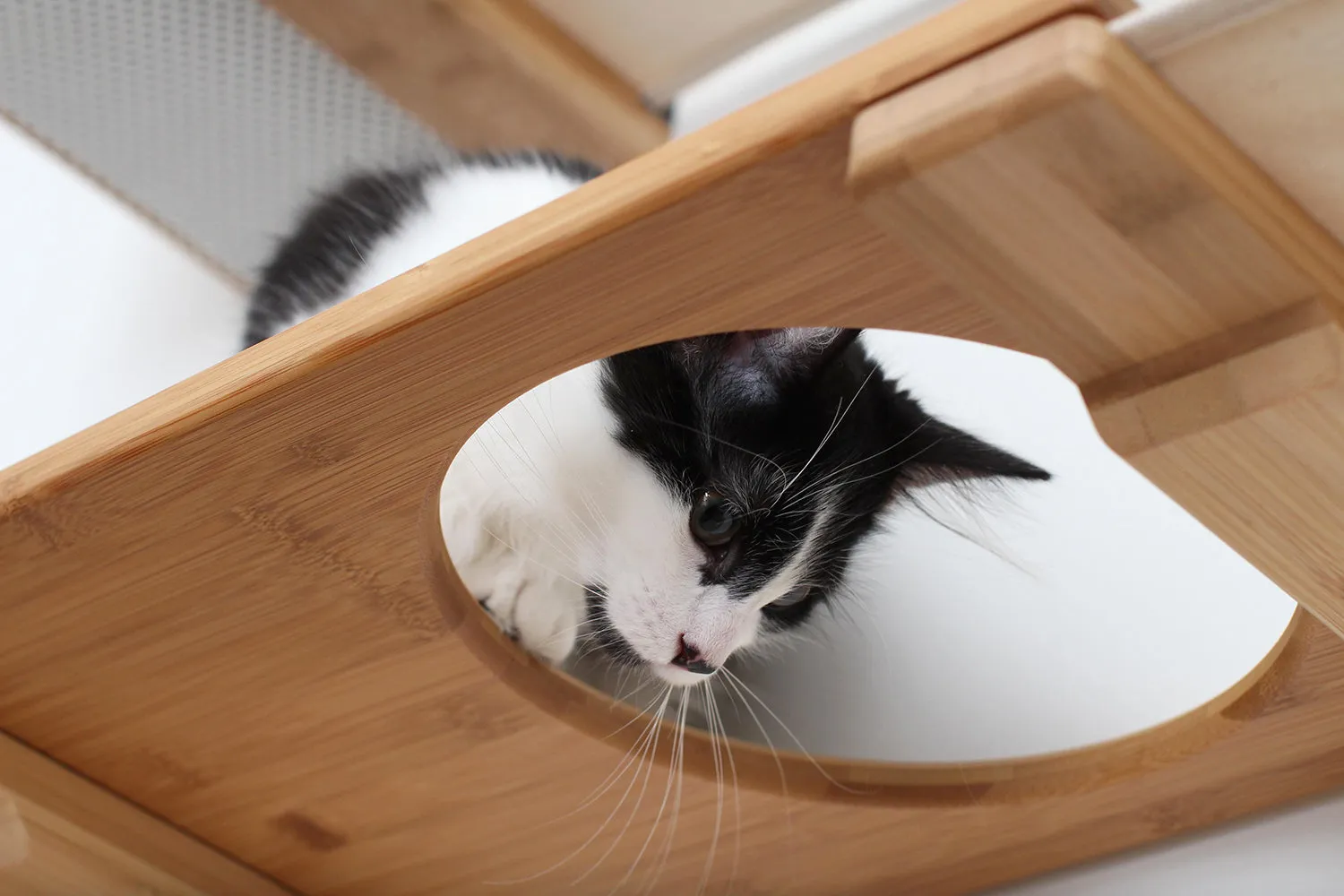 The Roman Cat Condo (Wall Mounted Cat Scratcher)