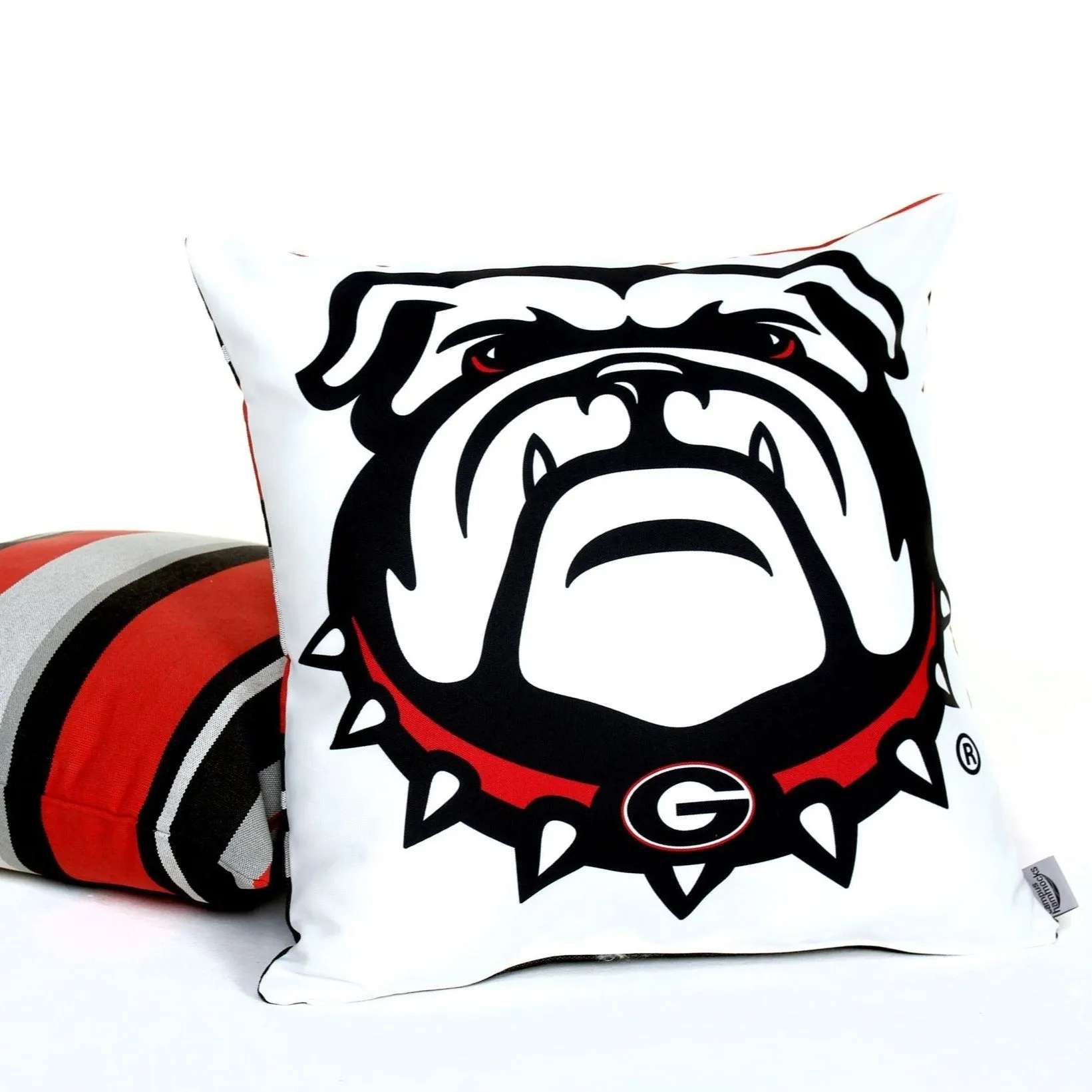 University of Georgia UGA BULLDOGS Hanging Chair Swing | DAWG